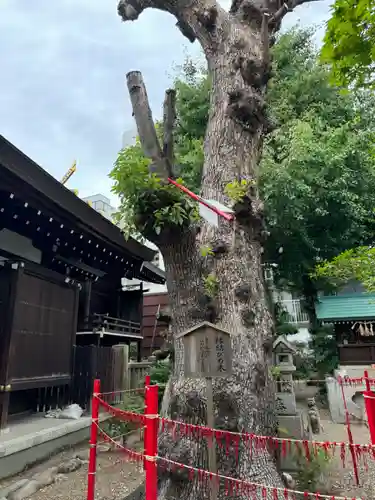 三輪神社(愛知県)