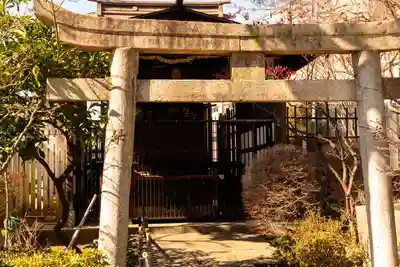白山神社(東京都)
