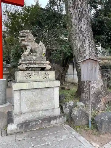 宇治神社の狛犬