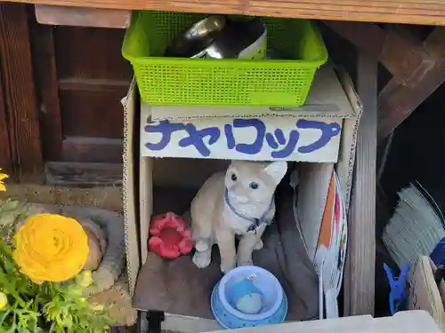 圓光寺(愛媛県)