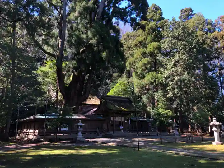 若狭姫神社(若狭彦神社下社)(福井県)