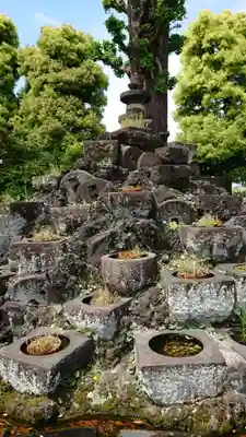 宝仙寺のその他建物