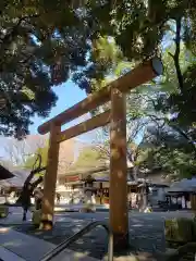 乃木神社の鳥居