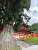 春日大社(奈良県)