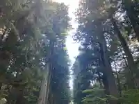 北口本宮冨士浅間神社(山梨県)