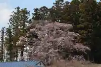 長屋神社の自然