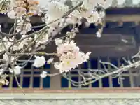 伊勢の国 四天王寺の自然