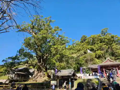 蒲生八幡神社の建物その他