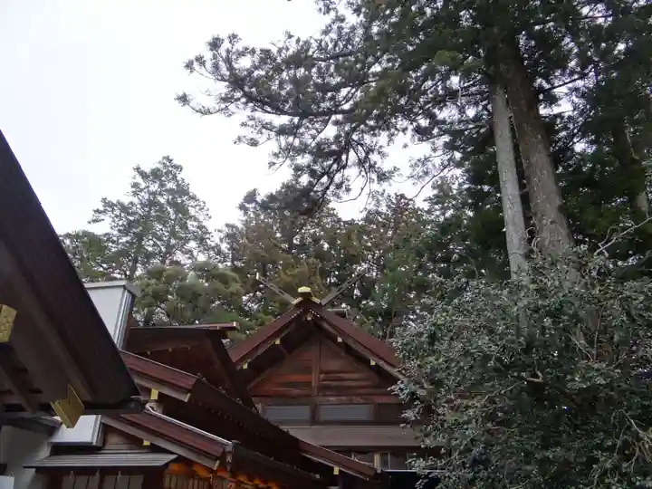椿大神社(三重県)