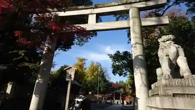 秩父神社の鳥居