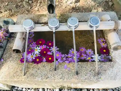 中川八幡神社の手水