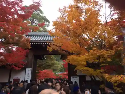 禅林寺（永観堂）の景色