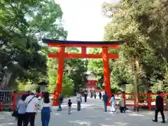 賀茂御祖神社（下鴨神社）(京都府)