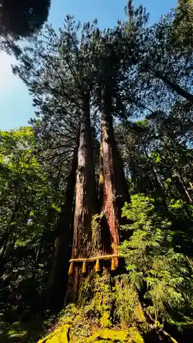 御岩神社(茨城県)