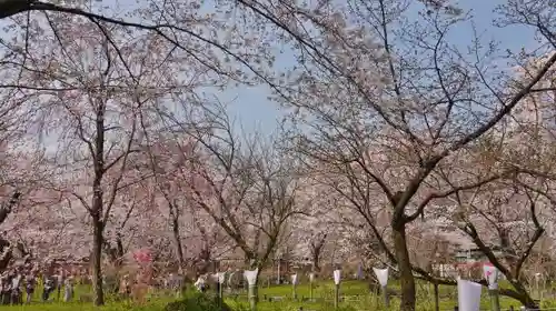 平野神社の庭園