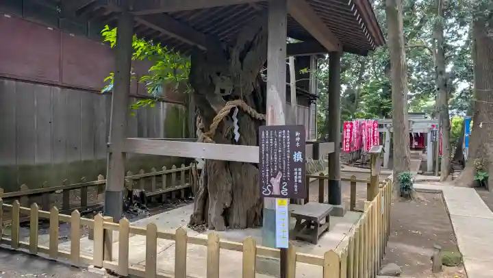 鶴嶺八幡宮の{uncategorized: "未分類", other: "その他", undefined: "問題あり", building: "その他建物", grave: "お墓", sacred_gate: "鳥居", guardian: "狛犬", statue: "像", buddha: "仏像", history: "歴史", nature: "自然", garden: "庭園", animal: "動物", pagoda: "塔", temizu: "手水舎", mountain_gate: "山門・神門", sanctuary: "本殿・本堂", subordinate: "末社・摂社", art: "芸術", scenery: "景色", jizo: "地蔵", ema: "絵馬", goshuin: "御朱印", omikuji: "おみくじ", items: "授与品その他", amulet: "お守り", goshuincho: "御朱印帳", eats: "食事", festival: "お祭り", votive_dance: "神楽", shichigosan: "七五三参", wedding: "結婚式", experience: "体験その他", initially: "初詣", around: "周辺", anti_infection: "感染症対策"}