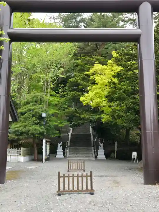 千歳神社の{uncategorized: "未分類", other: "その他", undefined: "問題あり", building: "その他建物", grave: "お墓", sacred_gate: "鳥居", guardian: "狛犬", statue: "像", buddha: "仏像", history: "歴史", nature: "自然", garden: "庭園", animal: "動物", pagoda: "塔", temizu: "手水舎", mountain_gate: "山門・神門", sanctuary: "本殿・本堂", subordinate: "末社・摂社", art: "芸術", scenery: "景色", jizo: "地蔵", ema: "絵馬", goshuin: "御朱印", omikuji: "おみくじ", items: "授与品その他", amulet: "お守り", goshuincho: "御朱印帳", eats: "食事", festival: "お祭り", votive_dance: "神楽", shichigosan: "七五三参", wedding: "結婚式", experience: "体験その他", initially: "初詣", around: "周辺", anti_infection: "感染症対策"}