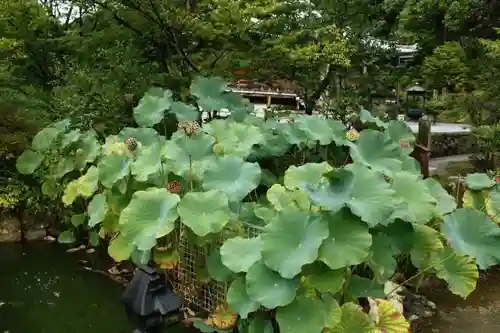 鏑射寺の庭園