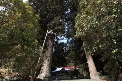 諏訪神社の景色