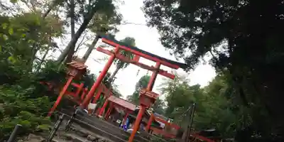 櫟谷宗像神社(松尾大社摂社)の鳥居