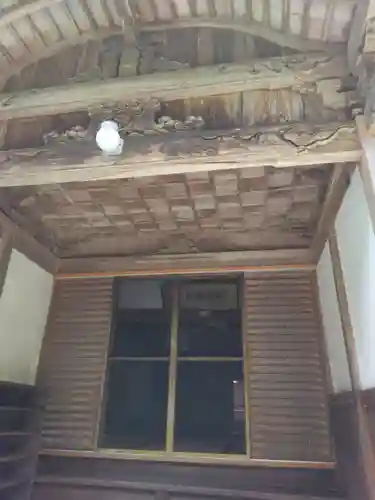 地蔵院の本殿・本堂