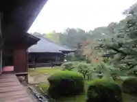 隨心院(随心院)の庭園