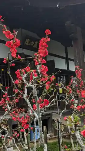 惠心院(京都府)