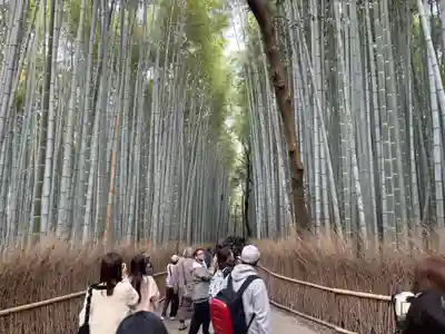 野宮神社(京都府)