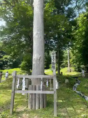 諏訪大社上社前宮(長野県)