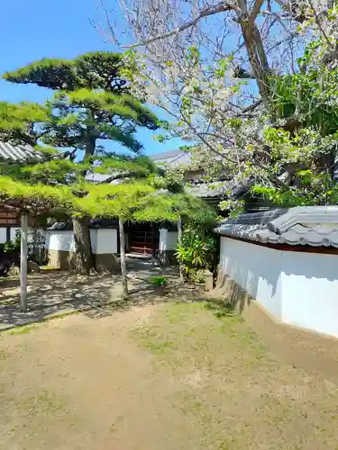 浄雲寺(大阪府)