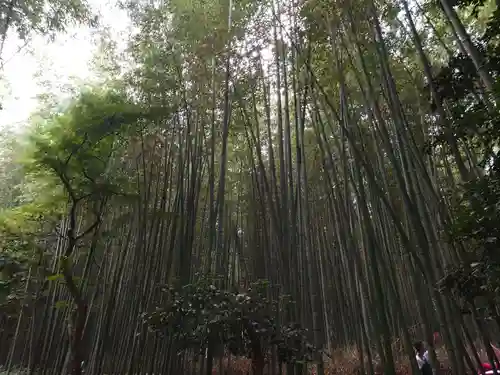 野宮神社(京都府)
