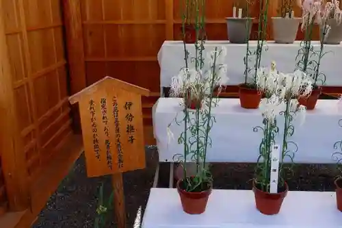 伊勢神宮内宮（皇大神宮）のその他建物