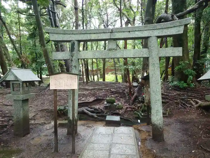 出雲大社(島根県)