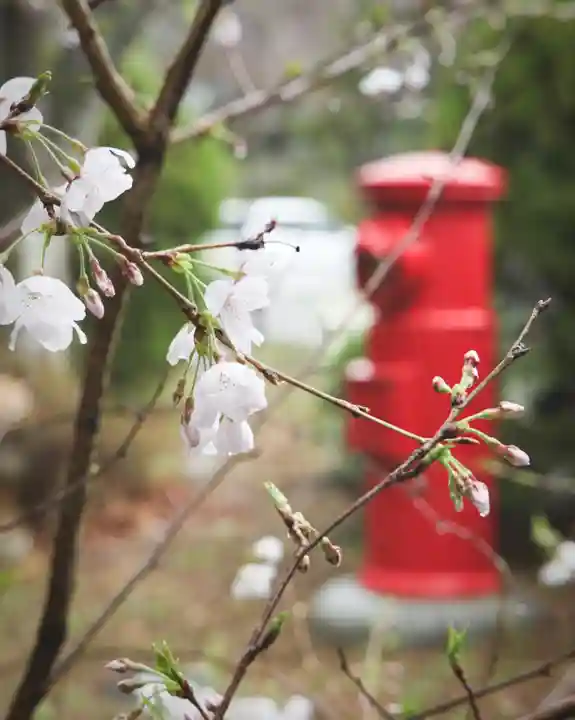 大聖寺(土浦大師不動尊)(茨城県)