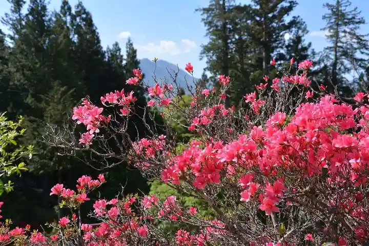 三峯神社(埼玉県)