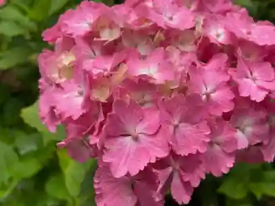 二本松寺(茨城県)