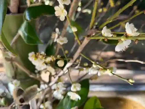 赤坂氷川神社の{uncategorized: "未分類", other: "その他", undefined: "問題あり", building: "その他建物", grave: "お墓", sacred_gate: "鳥居", guardian: "狛犬", statue: "像", buddha: "仏像", history: "歴史", nature: "自然", garden: "庭園", animal: "動物", pagoda: "塔", temizu: "手水舎", mountain_gate: "山門・神門", sanctuary: "本殿・本堂", subordinate: "末社・摂社", art: "芸術", scenery: "景色", jizo: "地蔵", ema: "絵馬", goshuin: "御朱印", omikuji: "おみくじ", items: "授与品その他", amulet: "お守り", goshuincho: "御朱印帳", eats: "食事", festival: "お祭り", votive_dance: "神楽", shichigosan: "七五三参", wedding: "結婚式", experience: "体験その他", initially: "初詣", around: "周辺", anti_infection: "感染症対策"}