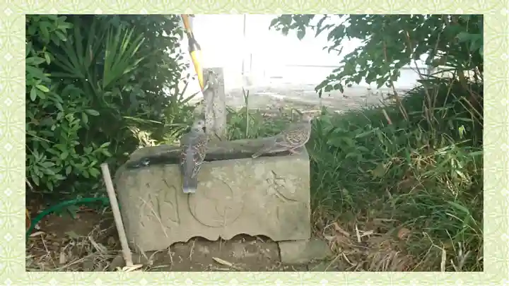 田島神明神社(埼玉県)