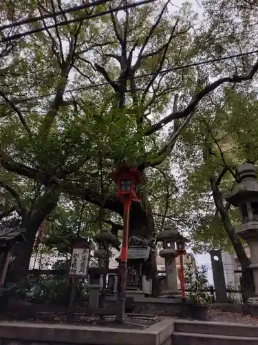 若一神社の自然