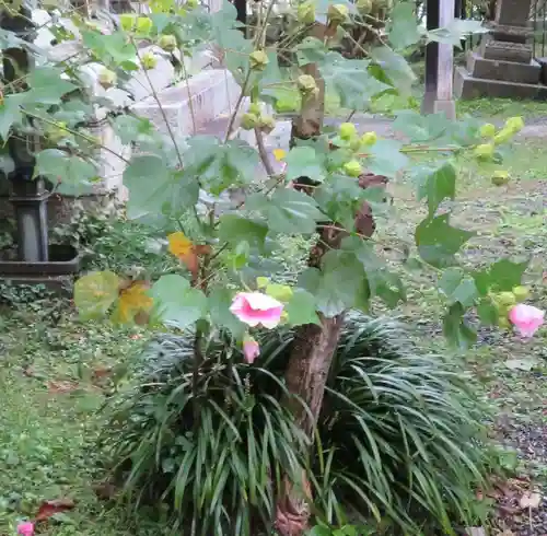 舎那院(滋賀県)