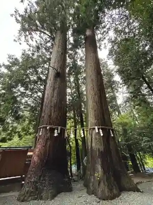 丹生川上神社（中社）(奈良県)