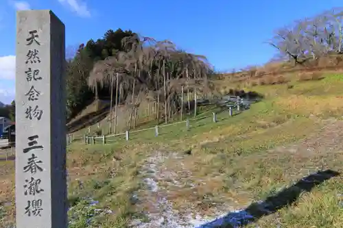 瀧桜神明宮の景色