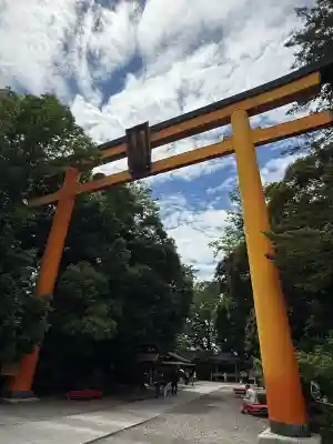 川越氷川神社(埼玉県)