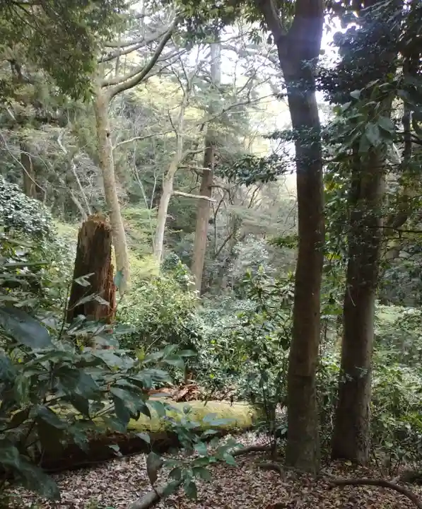 冨士浅間神社(東京都)