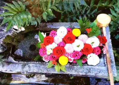 本郷氷川神社(東京都)