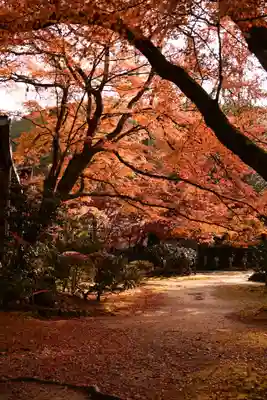 西明寺(京都府)