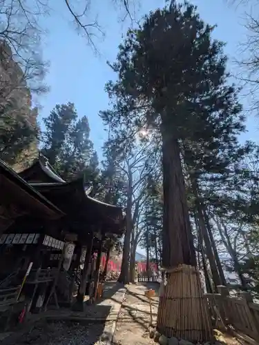 手長神社(長野県)