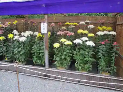 御寺 泉涌寺(京都府)