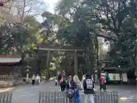 明治神宮(東京都)