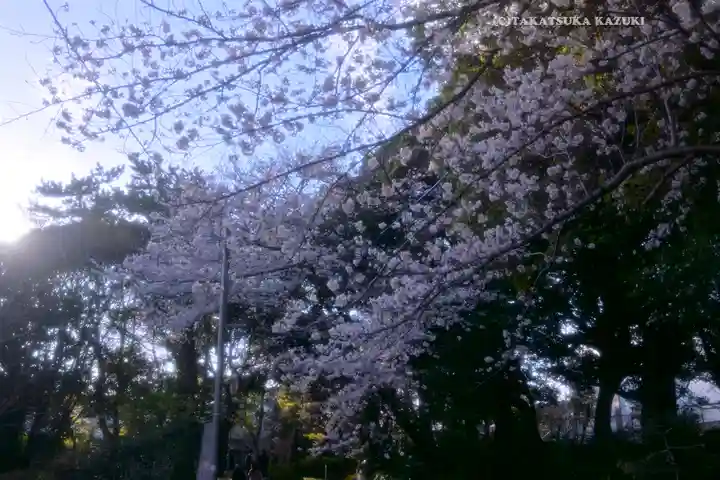 前原御嶽神社の自然